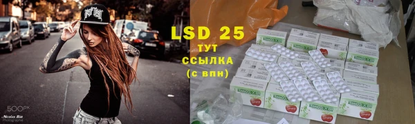индика Няндома
